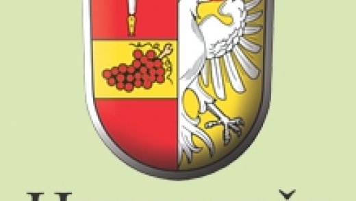 Připravujeme X. SKEPTIKON