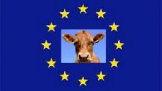 EU vydá miliony na výzkum homeopatie