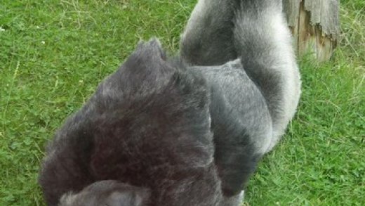 Diskuse na téma kreacionizmus 2/2