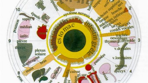 Zpověď bývalého iridologa: Je to skutečně v očích?