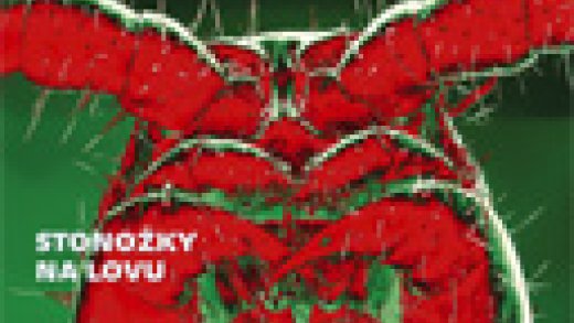 Čintamani a Vesmír