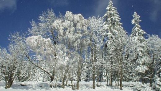 Narodil se Kristus Pán