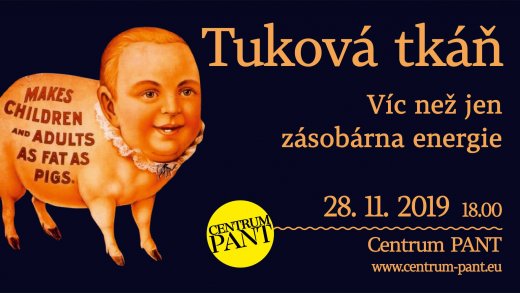 Tuková tkáň Tuková tkáň