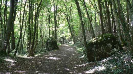 Bludný balvan za rok 2023 v kategorii zdravotní policie a veřejné zdraví - Tomáš Kašpar